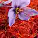 Banu store, production and sale of saffron in Torbat Heydarieh Khorasan Razavi