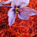 فروشگاه بانو، تولید و فروش زعفران در تربت حیدریه خراسان رضوی