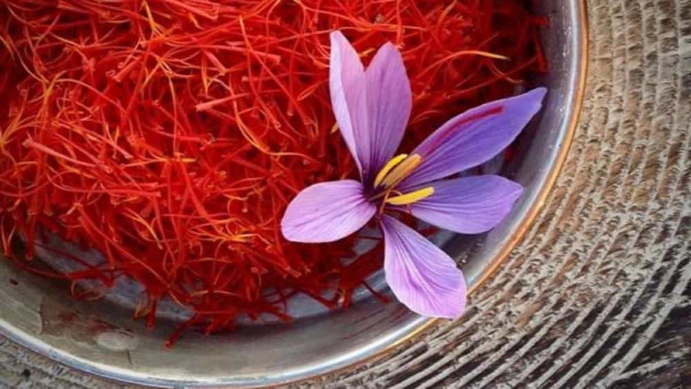 قیمت زعفران اصل در تربت‌ حیدریه