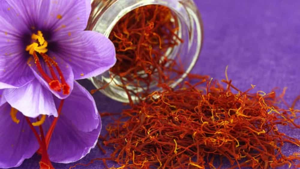 فروشگاه بانو مرجع خرید زعفران اصل تربت حیدریه