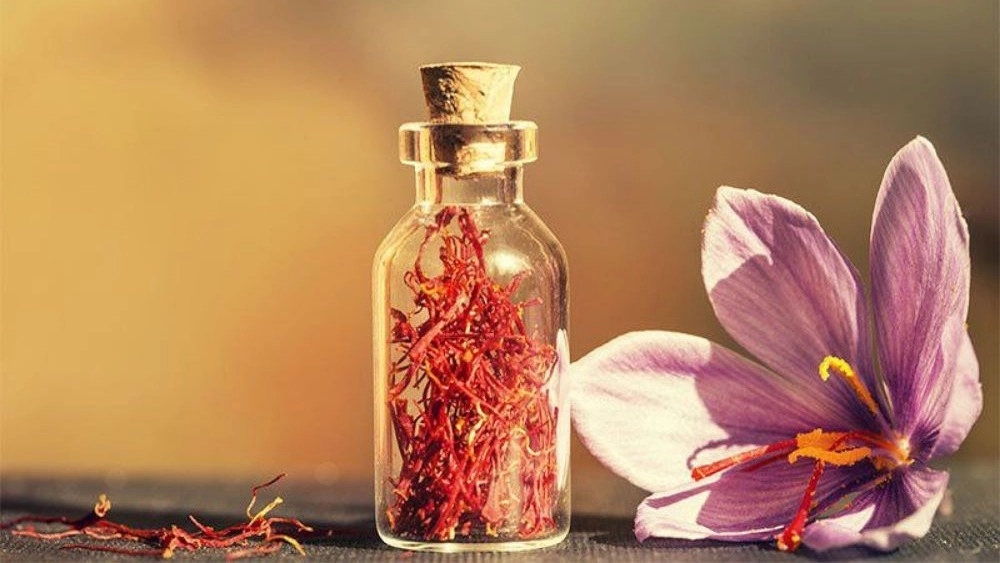 The most important areas of saffron planting The most important areas of saffron planting
