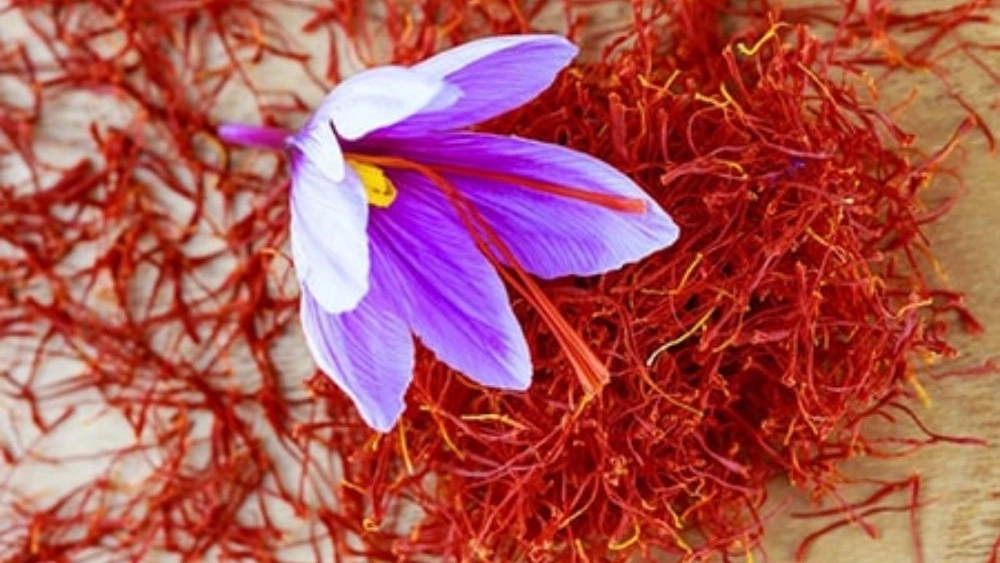Constituent elements of saffron Constituent elements of saffron